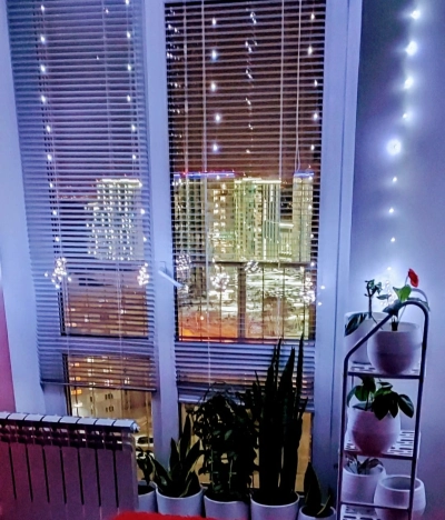 Купить квартиру на вторичке на улице Николая Сотникова в Новосибирске. Вариант № 8096476, 0, площадь -  квм, цена 3990000 рублей