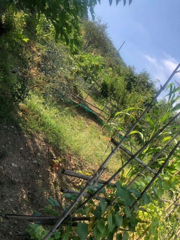 Купить земельный участок в Сочи. Вариант № 236588, 1, площадь -  квм, цена 14500000 рублей