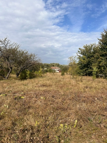 Купить земельный участок в Воронеже. Вариант № 13863, 5, площадь -  квм, цена 5500000 рублей