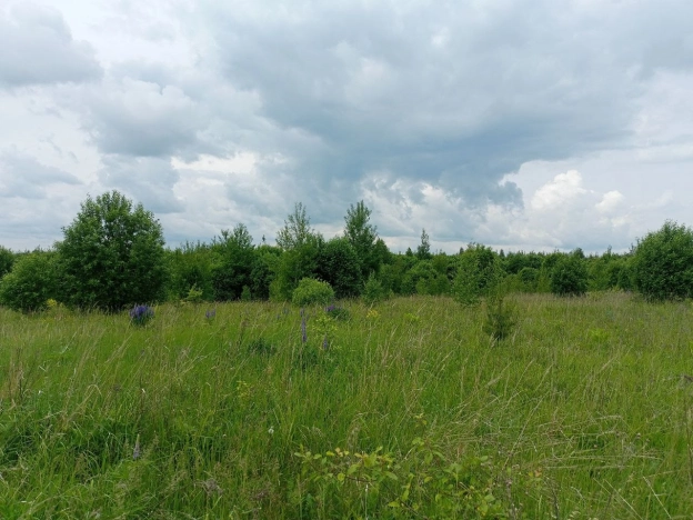 Купить земельный участок в Нижегородской области. Вариант № 33864, 1, площадь -  квм, цена 3300000 рублей