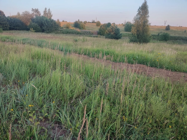 Купить земельный участок на улице Вознесенская в Ивановской области. Вариант № 35687, 2, площадь -  квм, цена 1780000 рублей