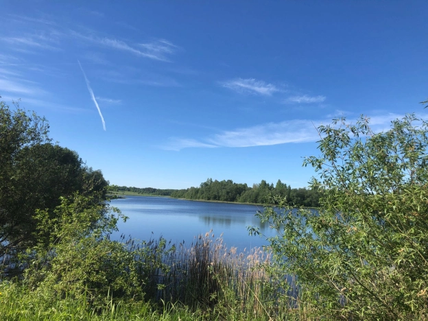 Купить земельный участок в Вологодской области. Вариант № 53557, 2, площадь -  квм, цена 750000 рублей