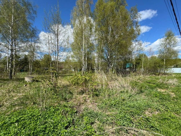 Купить земельный участок в Звенигороде. Вариант № 26311, 8, площадь -  квм, цена 700000 рублей