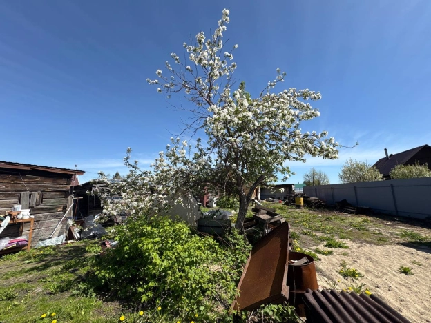 Купить земельный участок в Искитиме. Вариант № 43068, 10, площадь -  квм, цена 4600000 рублей