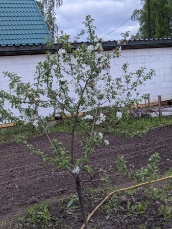 Купить дачу на улице Циолковского в Новосибирске. Вариант № 2000, 18, площадь -  квм, цена 2550000 рублей