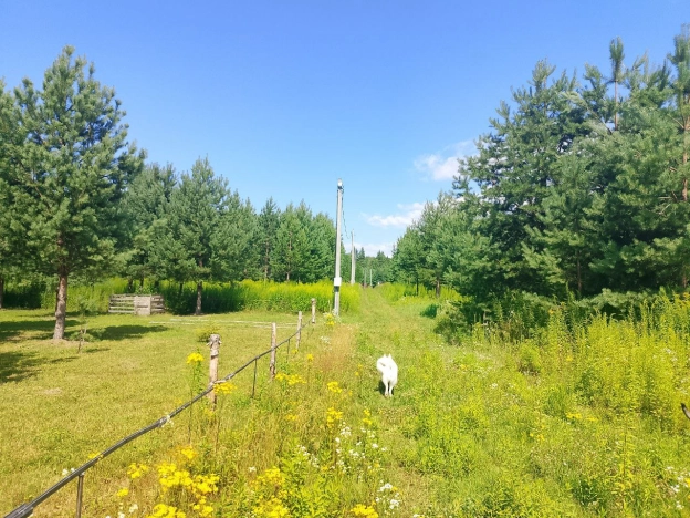 Купить земельный участок в Нижнем Новгороде. Вариант № 7608556, 8, площадь -  квм, цена 1300000 рублей