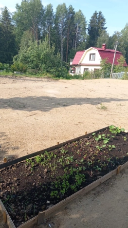 Купить земельный участок в Петрозаводске. Вариант № 1359626, 6, площадь -  квм, цена 1000000 рублей