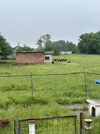 Купить земельный участок на улице Заречная в Республике Адыгея (адыгея). Вариант № 10468068, 5, площадь -  квм, цена 160000000 рублей