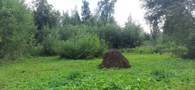 Купить земельный участок на улице Гумбольдта в Тобольске. Вариант № 10653, 5, площадь -  квм, цена 1100000 рублей