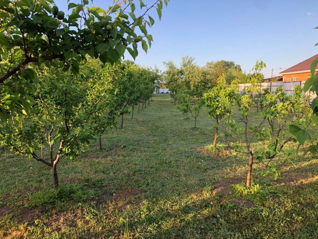 Купить дом на улице Степная в Краснодаре. Вариант № 6717854, 15, площадь -  квм, цена 9950000 рублей