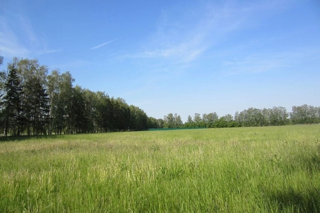 Купить земельный участок в Новосибирске. Вариант № 1250763, 0, площадь -  квм, цена 362600 рублей