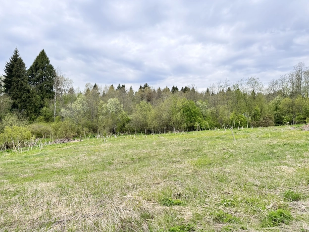 Купить земельный участок на улице Ореховый переулок в Сергиеве Посаде. Вариант № 41830, 0, площадь -  квм, цена 2500000 рублей