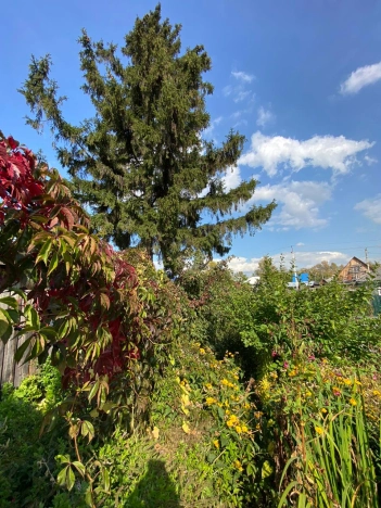 Купить дом у метро Речной вокзал в Новосибирске. Вариант № 6628505, 11, площадь -  квм, цена 4600000 рублей