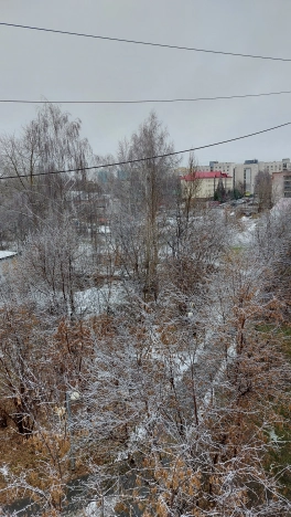 . Вариант № 2390278, 13, площадь - 51.5 квм, цена 4000000 рублей