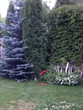 Купить дачу у метро Фабричная в Московской области. Вариант № 1663633, 4, площадь -  квм, цена 3400000 рублей