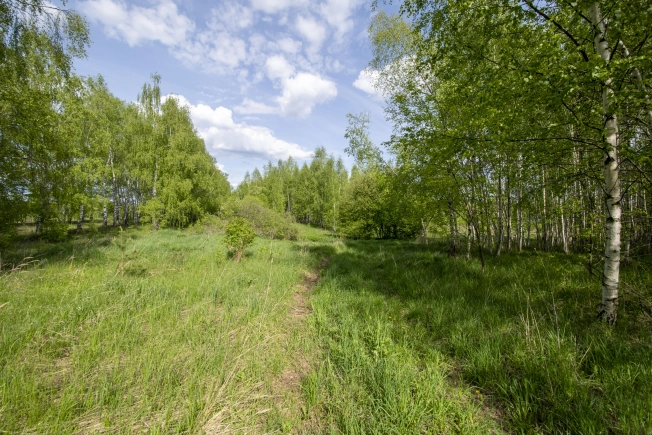 Купить земельный участок на улице Овражная в Нижегородской области. Вариант № 43313, 10, площадь -  квм, цена 700000 рублей