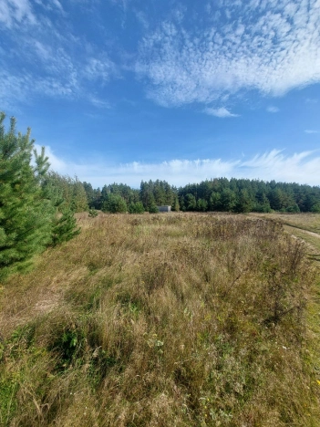 Купить земельный участок в Владимире. Вариант № 11037647, 13, площадь -  квм, цена 990000 рублей