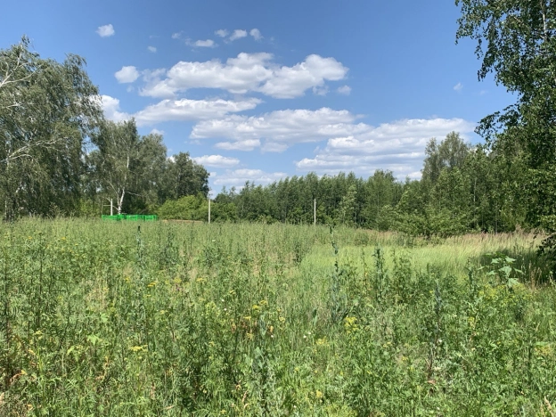 Купить земельный участок в Воронеже. Вариант № 28527, 0, площадь -  квм, цена 1110000 рублей