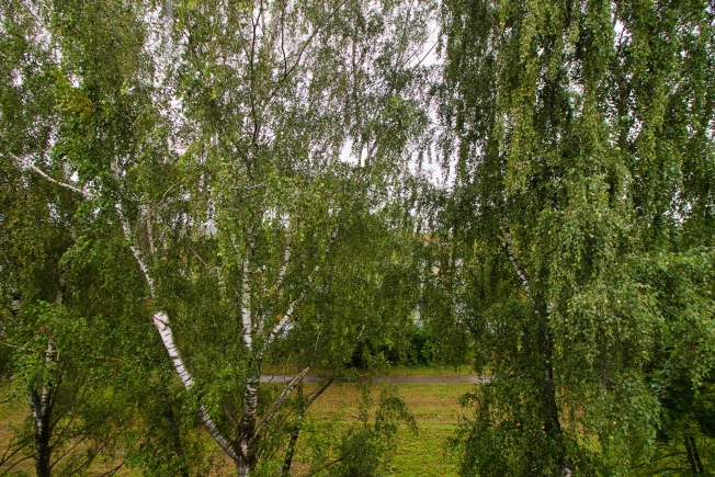 Купить квартиру на улице Лакина в Владимире. Вариант № 3230151, 36, площадь -  квм, цена 4370000 рублей