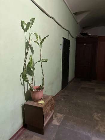 Купить квартиру в Раменском. Вариант № 6907833, 17, площадь -  квм, цена 4500000 рублей