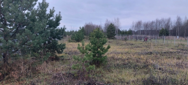 . Вариант № 17567, 2, площадь -  квм, цена 900000.0000 рублей