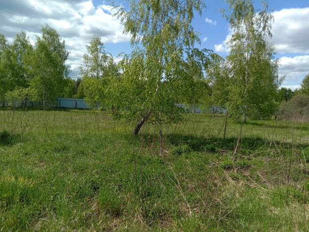 Купить дом в Судогде. Вариант № 2378, 16, площадь -  квм, цена 4450000 рублей