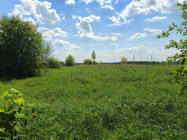 Купить дом на улице Большак в Липецкой области. Вариант № 8294, 14, площадь -  квм, цена 1500000 рублей