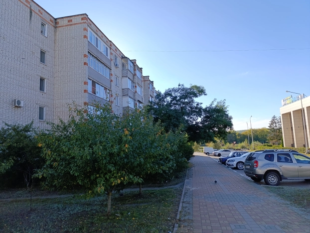 Купить двухкомнатную квартиру на улице Центральная в Белгородской области. Вариант № 3969257, 1, площадь -  квм, цена 3490000 рублей