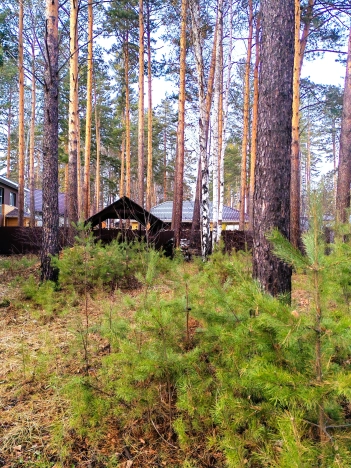 Купить дом на улице Административная в Иркутской области. Вариант № 8220482, 45, площадь -  квм, цена 21900000 рублей