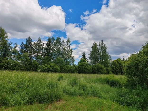 Купить земельный участок на улице Южный склон в Ленинградской области. Вариант № 5830117, 1, площадь -  квм, цена 2650000 рублей