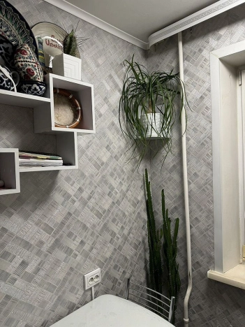 Купить однокомнатную квартиру в Омске. Вариант № 6153329, 5, площадь -  квм, цена 3950000 рублей