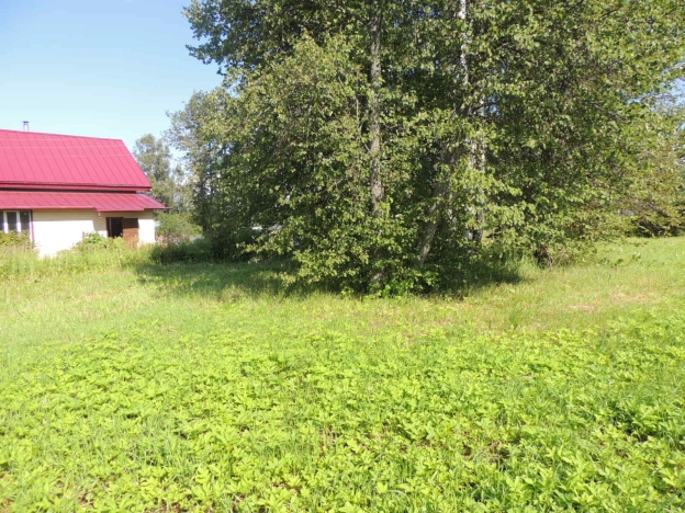 Купить земельный участок на улице Брусничная в Собинке. Вариант № 2670, 5, площадь -  квм, цена 1170000 рублей