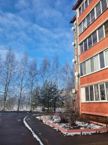 Купить однокомнатную квартиру на вторичке на улице Новосемёнковская в Владимирской области. Вариант № 2513672, 11, площадь -  квм, цена 4150000 рублей