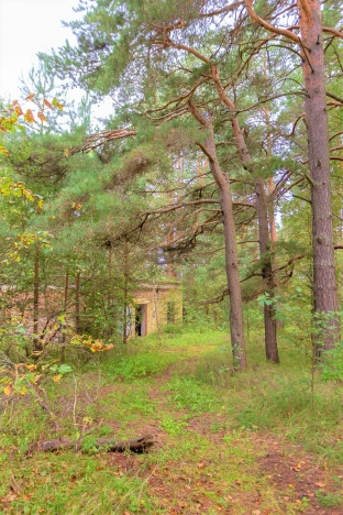 Купить земельный участок в Владимире. Вариант № 1435, 7, площадь -  квм, цена 11500000 рублей