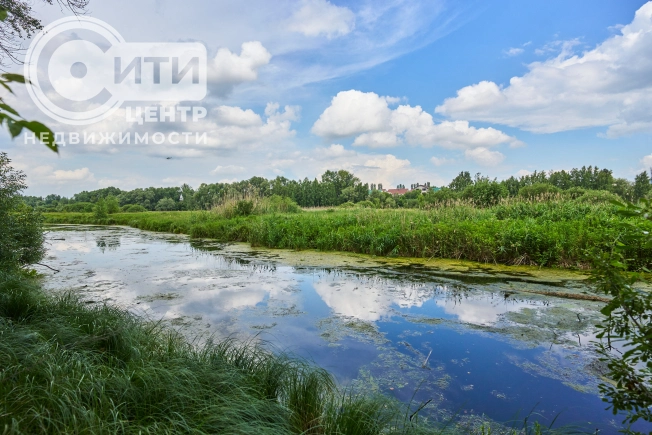Купить земельный участок в Воронеже. Вариант № 16995, 7, площадь -  квм, цена 850000 рублей