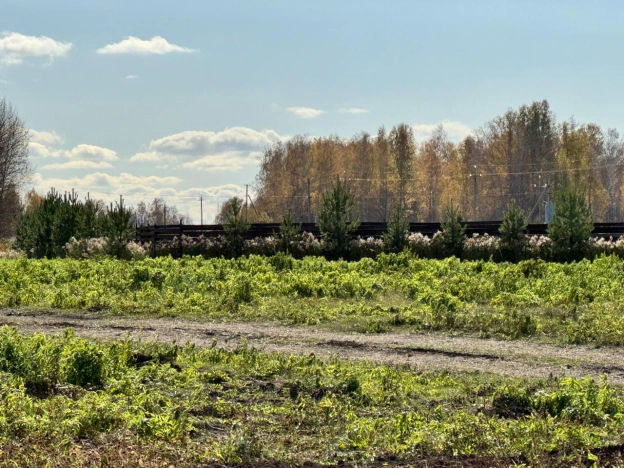 Купить земельный участок в Новосибирске. Вариант № 10261780, 4, площадь -  квм, цена 1700000 рублей