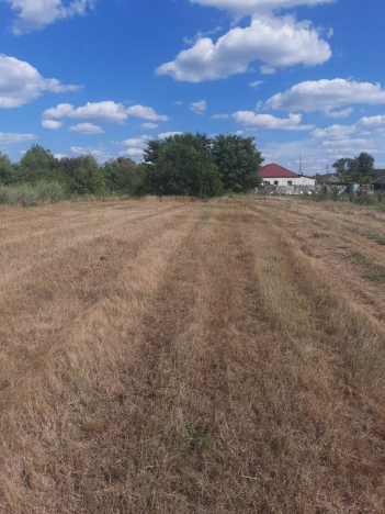 Купить земельный участок на улице Дачная в Белгородской области. Вариант № 2064744, 3, площадь -  квм, цена 750000 рублей
