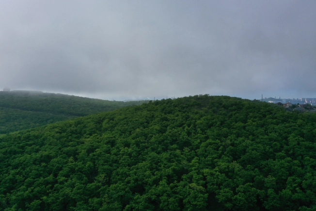 Купить двухкомнатную квартиру в новостройках на улице Океанский проспект в Владивостоке. Вариант № 4136912, 3, площадь -  квм, цена 10592700 рублей