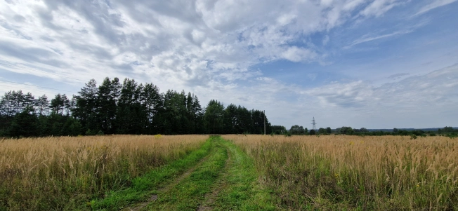 Купить земельный участок на улице 8-я линия в Нижегородской области. Вариант № 5522023, 29, площадь -  квм, цена 7800000 рублей