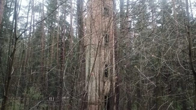 Купить земельный участок на улице Гоголя в Всеволожске. Вариант № 17441, 19, площадь -  квм, цена 81000000 рублей