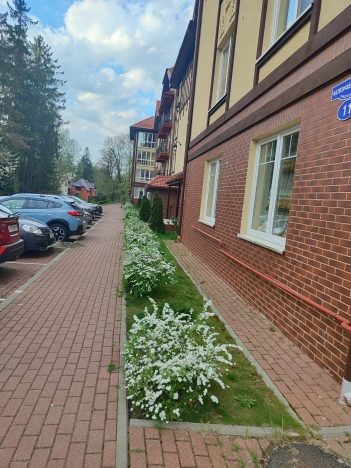 Купить квартиру в Светлогорске. Вариант № 6725885, 41, площадь -  квм, цена 13200000 рублей