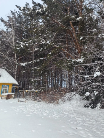 Купить дачу в Новосибирске. Вариант № 8904945, 21, площадь -  квм, цена 5900000 рублей