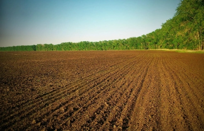 Купить земельный участок в Тамбовской области. Вариант № 38396, 1, площадь -  квм, цена 1990000 рублей