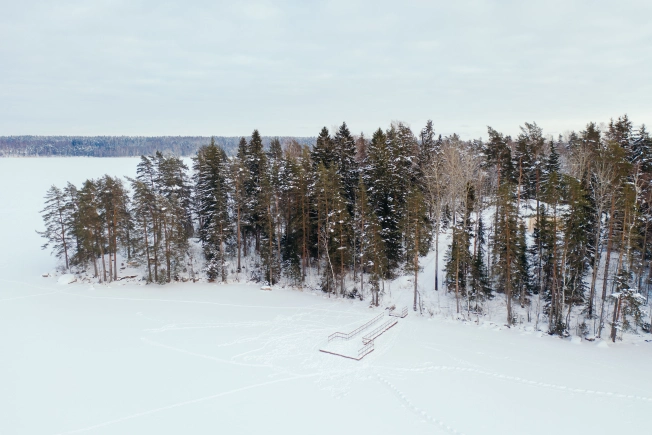Купить земельный участок в Ленинградской области. Вариант № 9649593, 8, площадь -  квм, цена 2649024 рублей