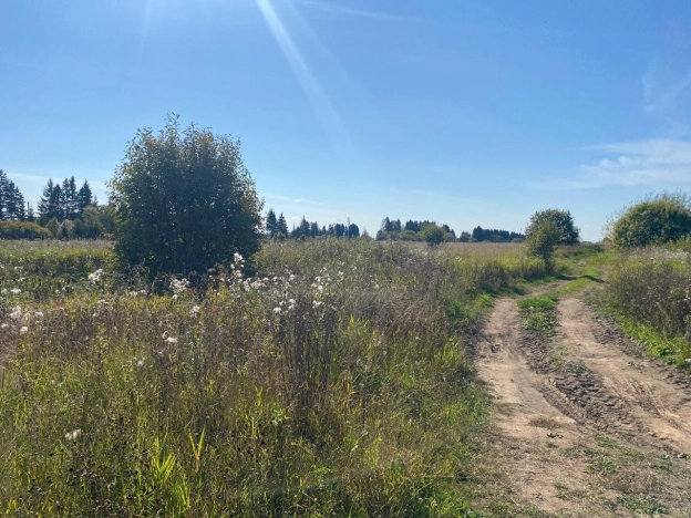 Купить земельный участок в Вологодской области. Вариант № 13732, 8, площадь -  квм, цена 7800000 рублей