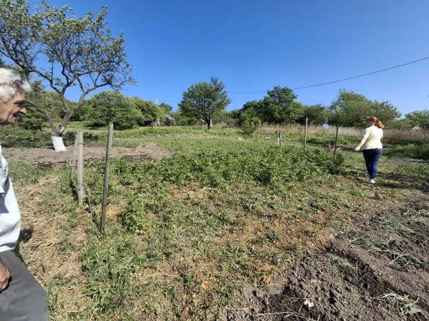 Купить земельный участок в Уссурийске. Вариант № 50909, 6, площадь -  квм, цена 500000 рублей