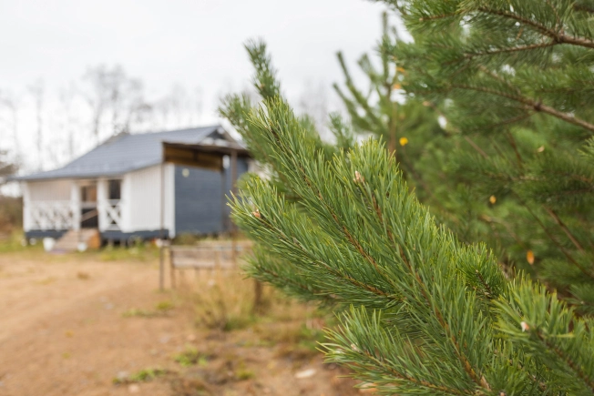 Купить дом в Петрозаводске. Вариант № 8373092, 40, площадь -  квм, цена 5299000 рублей