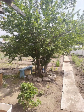 Купить дачу в Тюменской области. Вариант № 58391, 11, площадь -  квм, цена 1600000 рублей