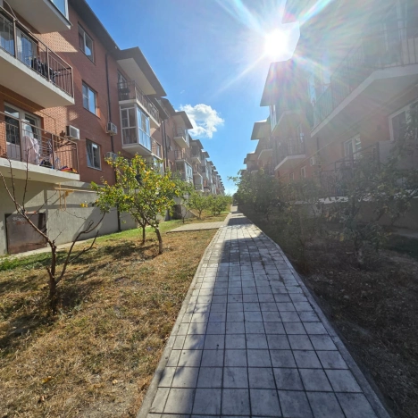 Купить Студию в Краснодарском крае. Вариант № 3378410, 26, площадь -  квм, цена 3690000 рублей