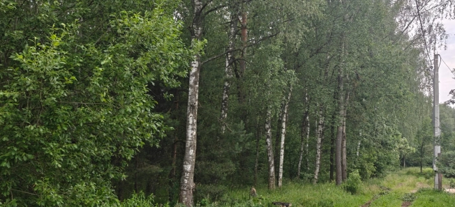 Купить дом в Видном. Вариант № 21526, 3, площадь -  квм, цена 8250000 рублей